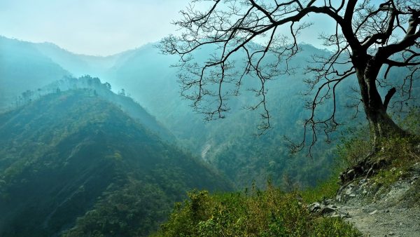 پروژه مجزا – تصویر ۲/۳