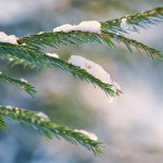 پروژه مجزا- اسلایدر 2/3