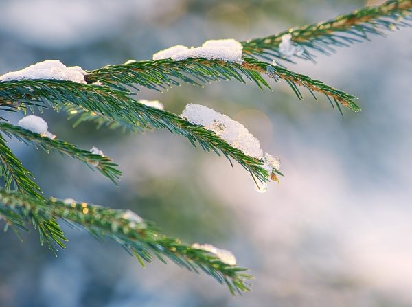 پروژه مجزا- اسلایدر 2/3